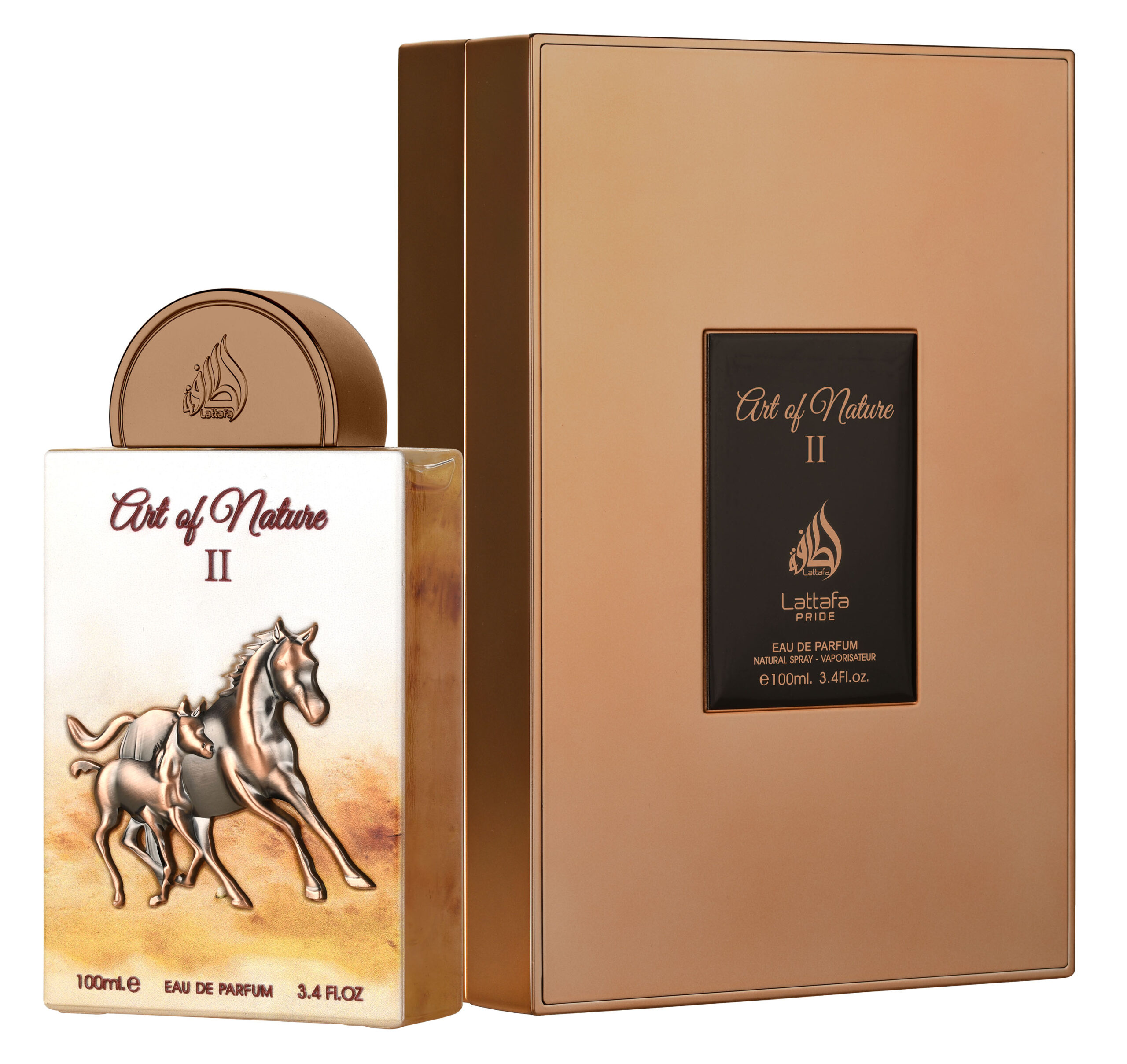 ART OF NATURE 2 100ML